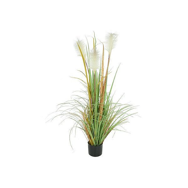 Planta Grass Plumas Permanente c/ Pote 1,2m Verde Outono