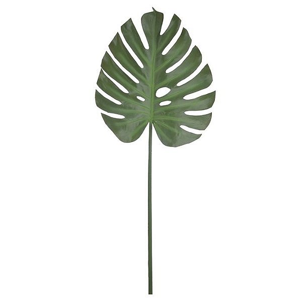 Folha Costela de Adão (Verde) 1,16m