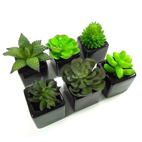Suculentas Sortidas Kit Com 6 Vasos De Cerâmica Preta