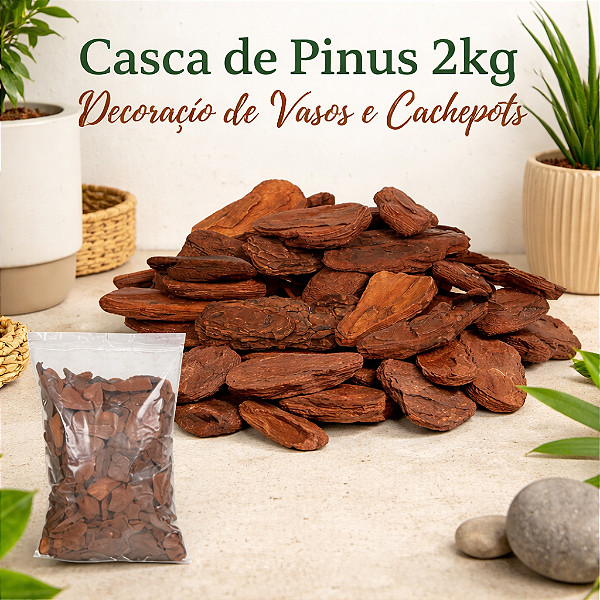 Casca de Pinus 2kg Decoração de Vasos e Cachepots