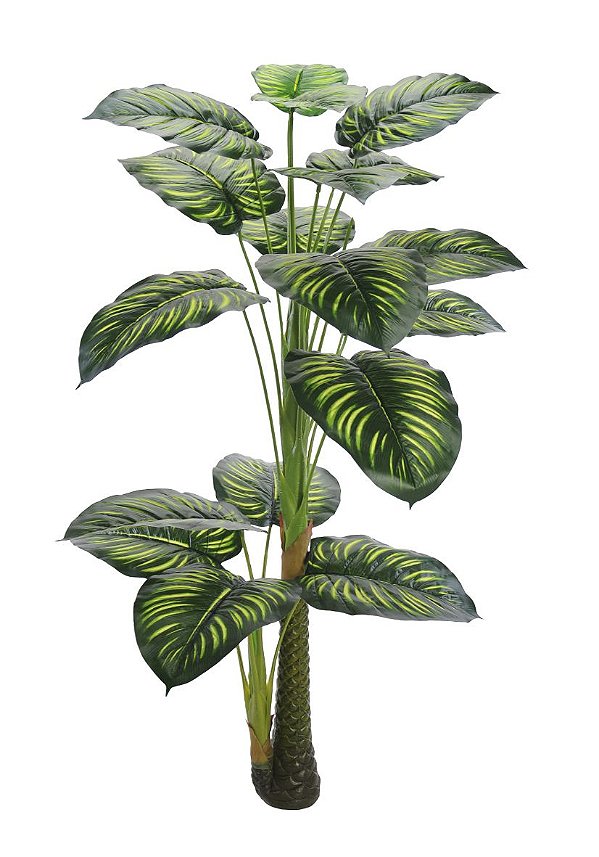 Árvore Calathea Permanente 1,25m Planta Artificial