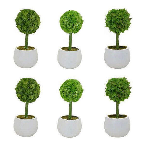 Kit Suculentas Verdes com 6 Vasos Brancos 15cm Planta Permanente
