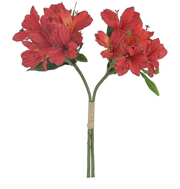 Haste de Astromélia c/ fita Microp x12 37cm