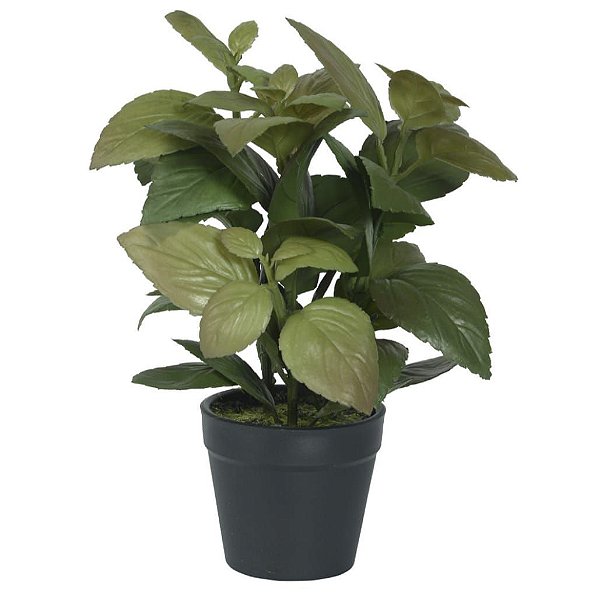 Arranjo com Folhas de Manjericão no Pote x48 22cm