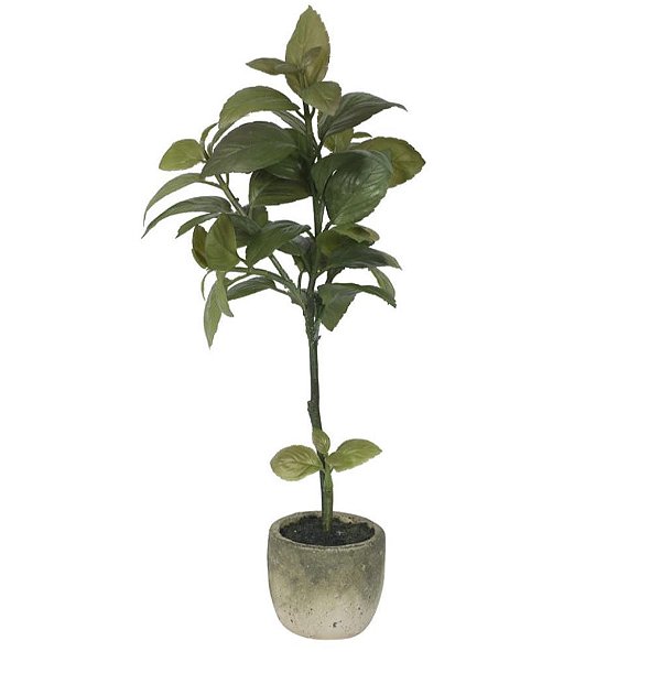 Arranjo de Folhas de Manjericão no Vaso 40cm