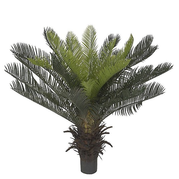 Palmeira Cycas x28 Planta Permanente 60cm