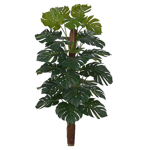 Planta Artificial Costela de Adão x36 Real Toque 1,60m