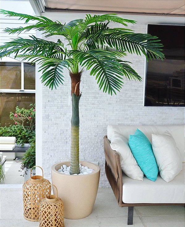 Palmeira Real Toque 2,10m Permanente (Apenas a Árvore)