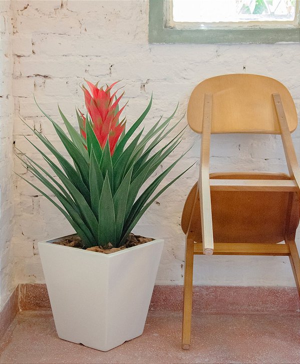 Planta Bromelia Vermelha 84cm Planta Permanente