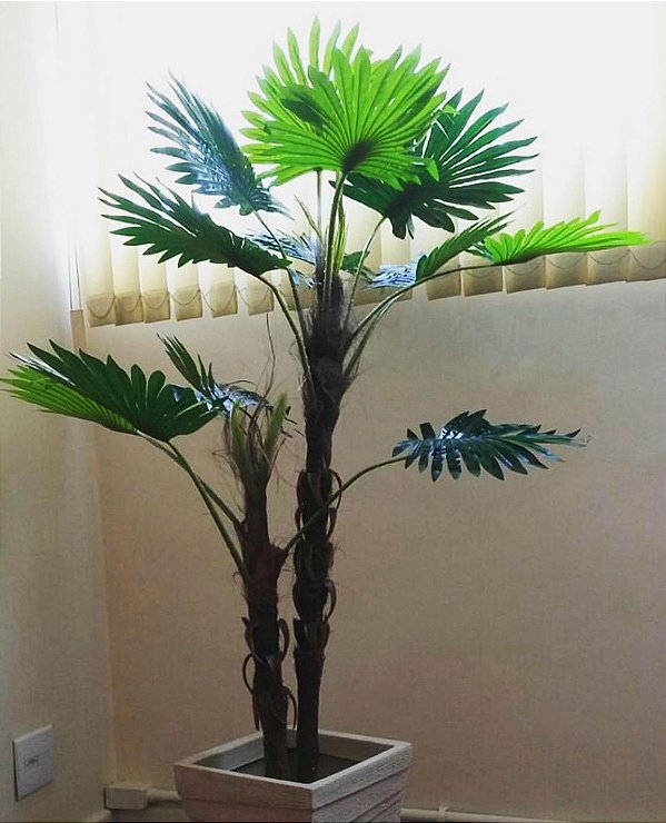 Palmeira Leque Real Toque 1,40m