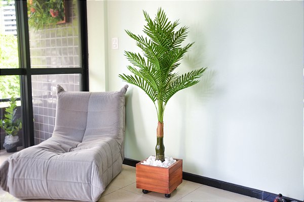 Palmeira Toque Real 1,20m Planta Permanente  (preço apenas da planta)