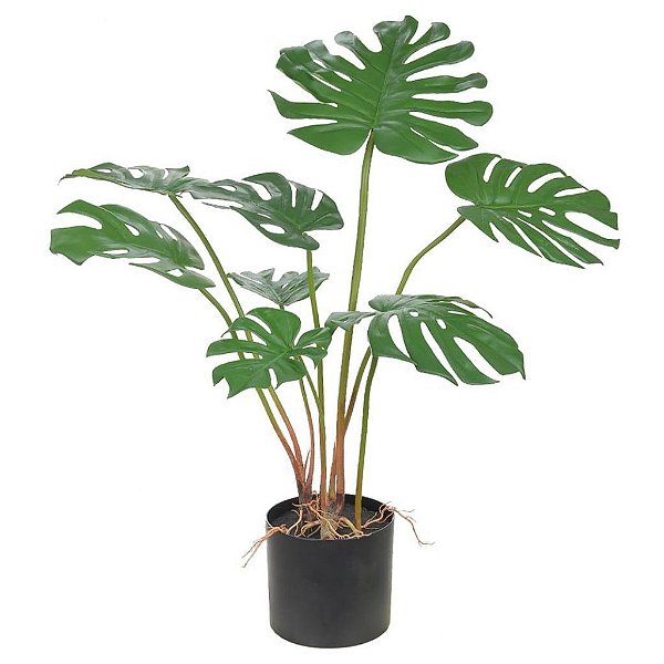 Costela de Adão Real Toque X8 85cm c/ Pote (sem Cachepot)