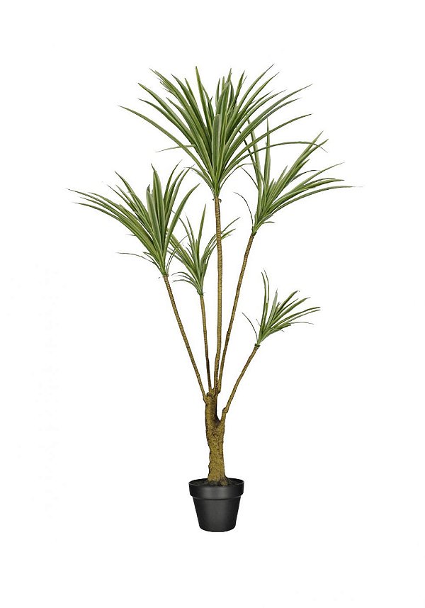 Planta Artificial Dracena Marginata 1,30m c/ pote Linha Premium