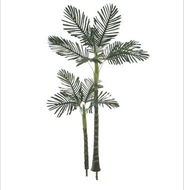 Palmeira Areca Real Toque x11 Verde 1,70m Planta Permanente