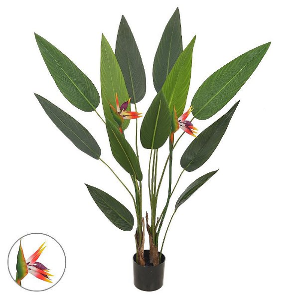 Estrelicia 1,25m com Pote PLANTA PERMANENTE LINHA PREMIUM