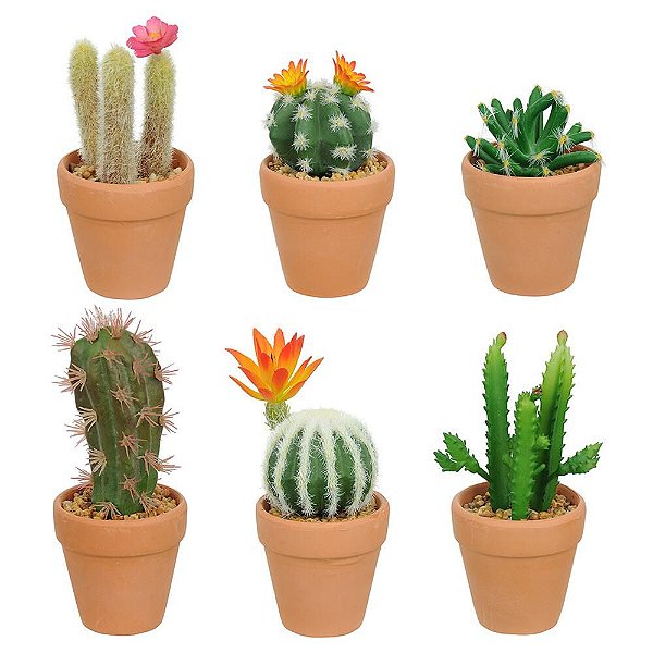 Kit 6 Vasos Cactos Cerâmica 14cm
