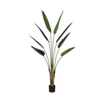 Palmeira Viajante 1,80m c/ pote LINHA ARTIFICIAL PREMIUM (apenas a planta)