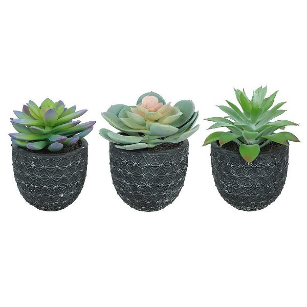 Kit Mini Suculenta 10cm c/ 3 Vasos cerâmica