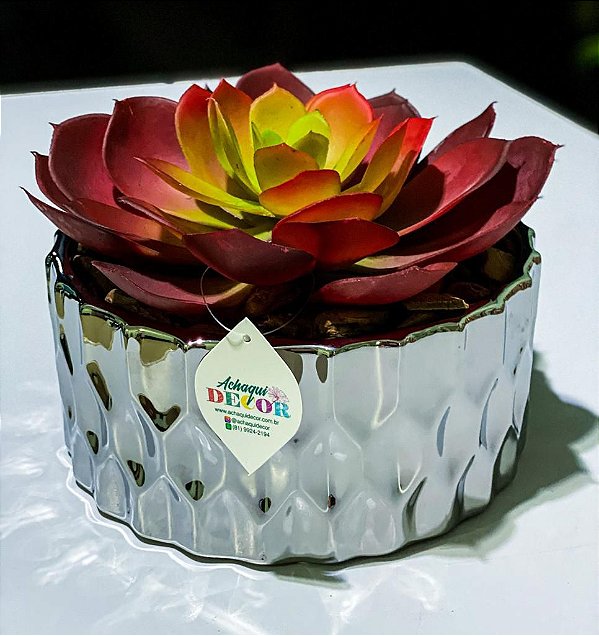 Arranjo Suculenta no Vaso cerâmica prata 21cm