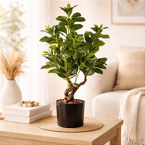 Árvore Clusia Permanente x175 78cm com pote REAL TOQUE