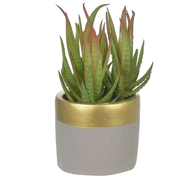 Vaso Suculenta Cerâmica 16cm