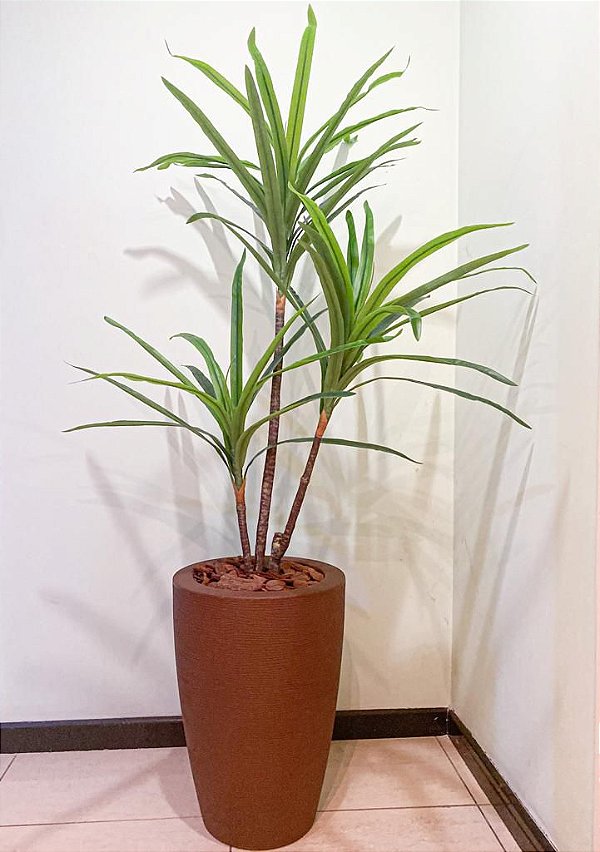 Palmeira Dracena Real Toque x51 1,4m (Verde Creme)