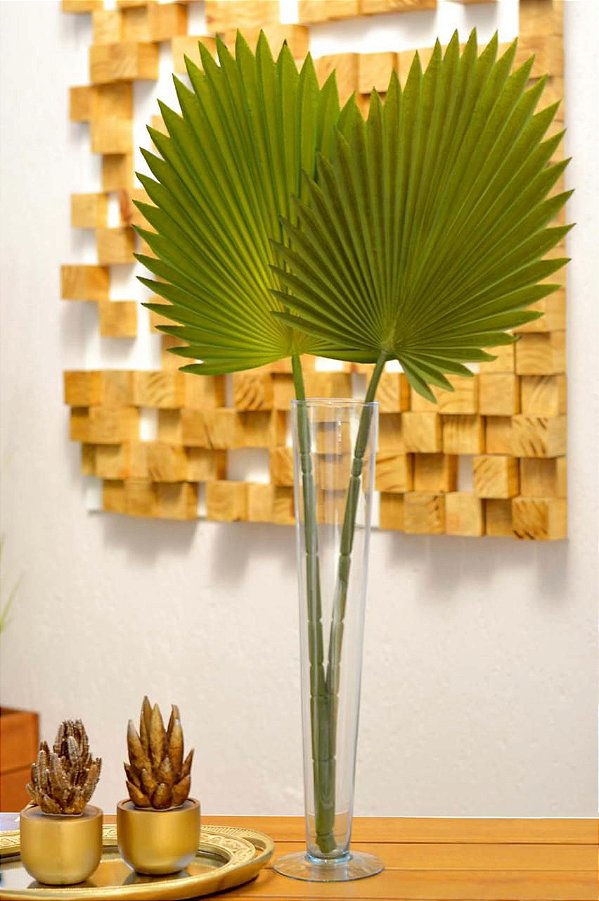 2 HASTES FOLHA LATANIA VERDE 2 TONS (Apenas a Planta)