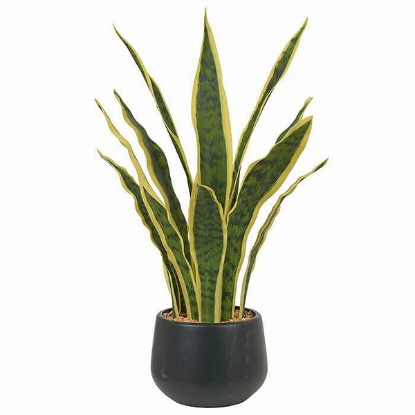 Espada de São Jorge Artificial Verde Amarelo com Pote 53cm