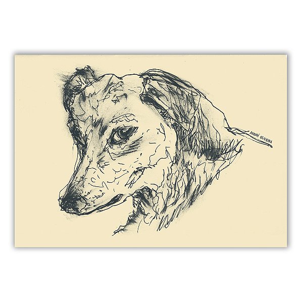 Cães Callejeros - 02 - André Oliveira - Quadro ou Print Fine Art