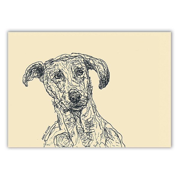 Cães Callejeros - 03 - André Oliveira - Quadro ou Print Fine Art