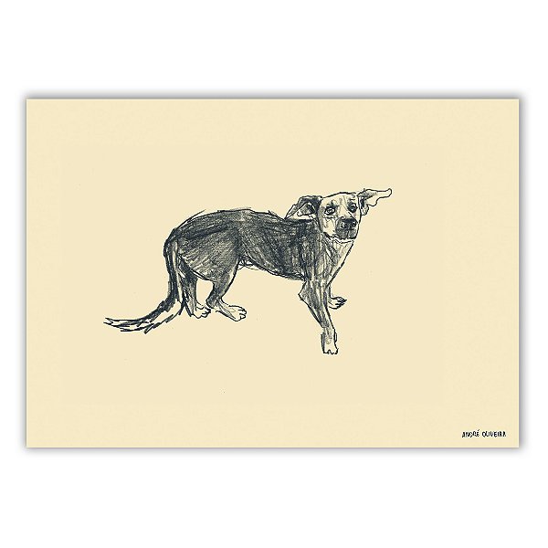 Cães Callejeros - 06 - André Oliveira - Quadro ou Print Fine Art