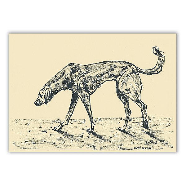 Cães Callejeros - 08 - André Oliveira - Quadro ou Print Fine Art