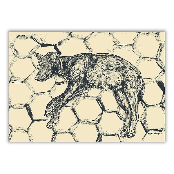 Cães Callejeros - 09 - André Oliveira - Quadro ou Print Fine Art