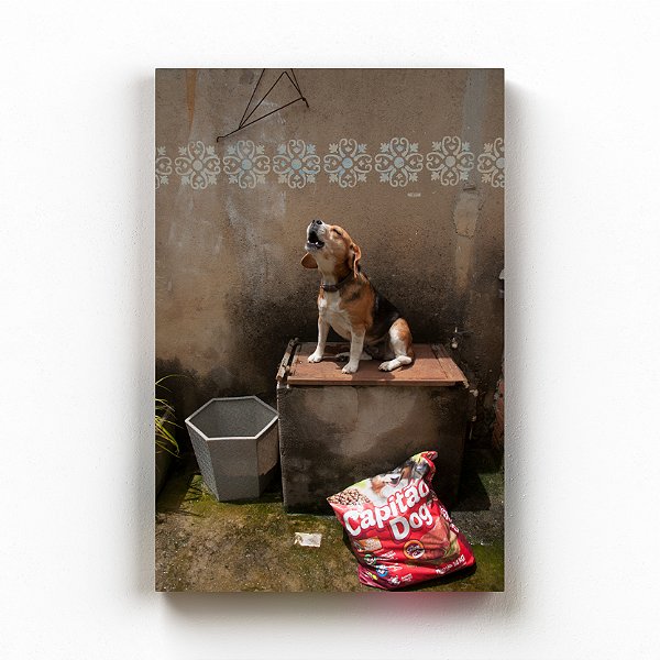 Capitã Cã - Exposição Domesticidade - Gustavo Souto - Quadro ou Print Fine Art