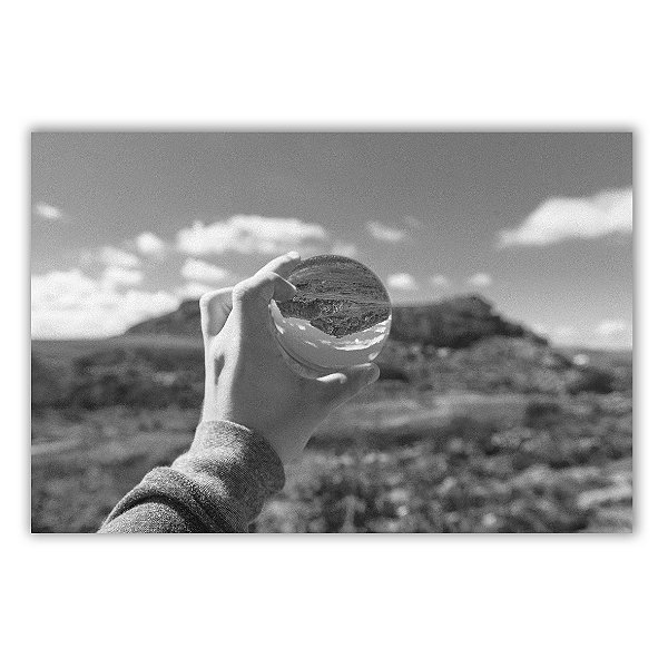 Um Pequizeiro Sufocado Não Dá Frutos 09 - Neto Macedo - Print Fine Art ou Quadro