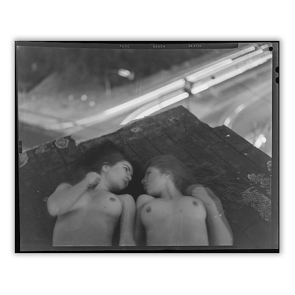 Um Pequizeiro Sufocado Não Dá Frutos 12 - Neto Macedo - Print Fine Art ou Quadro