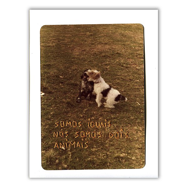 Dois Animais - Nina Rocha - Print Fine Art ou Quadro