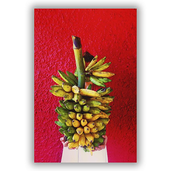 Republiqueta das Bananas - Hana Brener