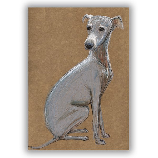 André Oliveira - Cachorro