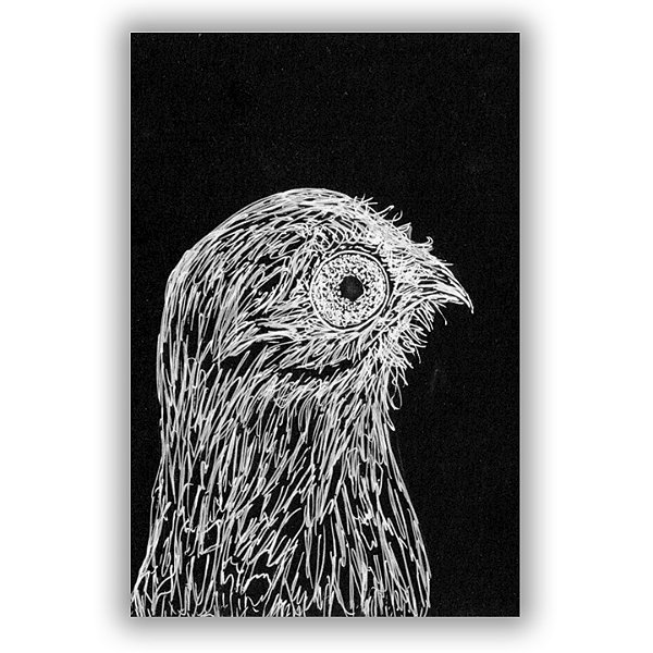 Urutau - André Oliveira