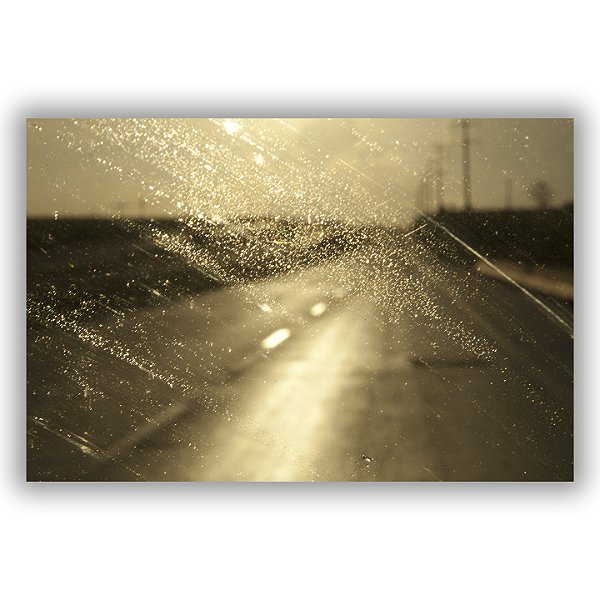 Sertãozinho - Gustavo de Paula