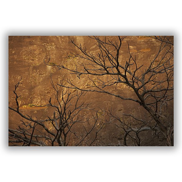 Pão de Açúcar - Gustavo de Paula