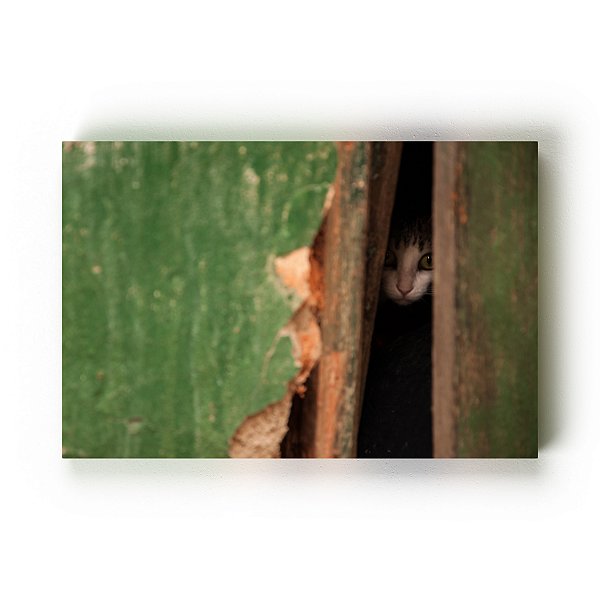 Canto de Quintal -  Gustavo Souto - Quadro ou Print Fine Art