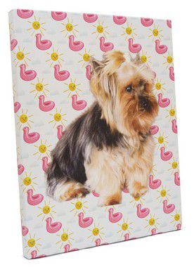 Quadro Canvas Borda Espelhada 60x70