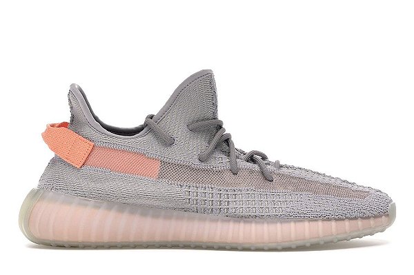 Adidas Yeezy Boost 350 v2 True Form