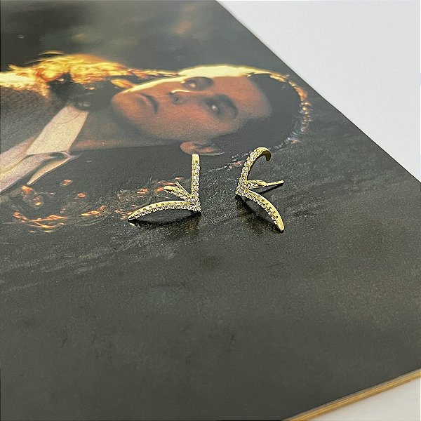 Brinco Ear Hook com Microzircônias Folheado a Ouro