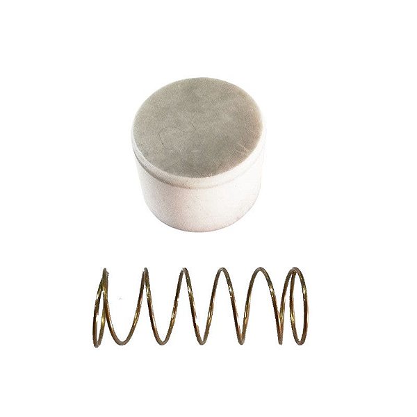 Kit Reparo Válvula de Retenção 1.1/4 Pol - Schulz Fort MSWV 60 e 80 Max / Wayne W800 e W900 (34004508/AT)