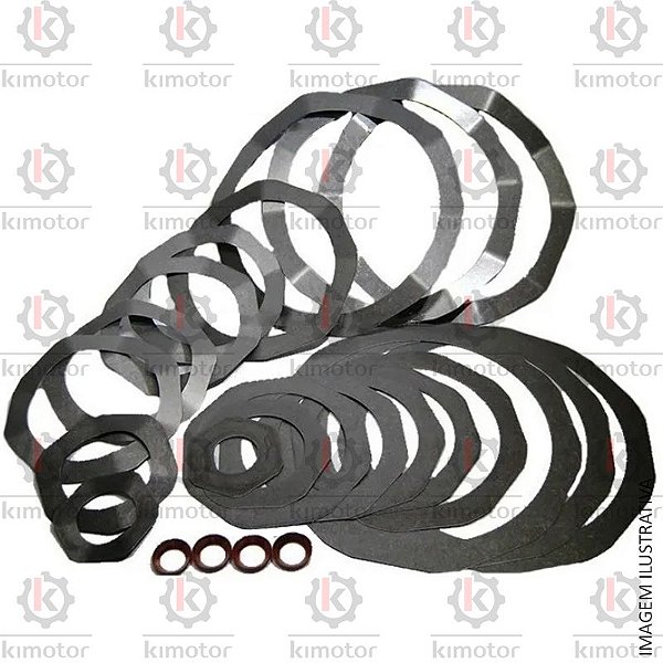Kit de Palhetas Schulz MSWV 60 Fort / Wayne W900 (34005501/AT)