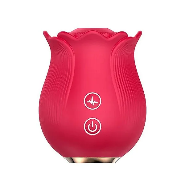 Vibrador Rosa Estimuladora de Clitóris com Pulsação Recarregável - SI