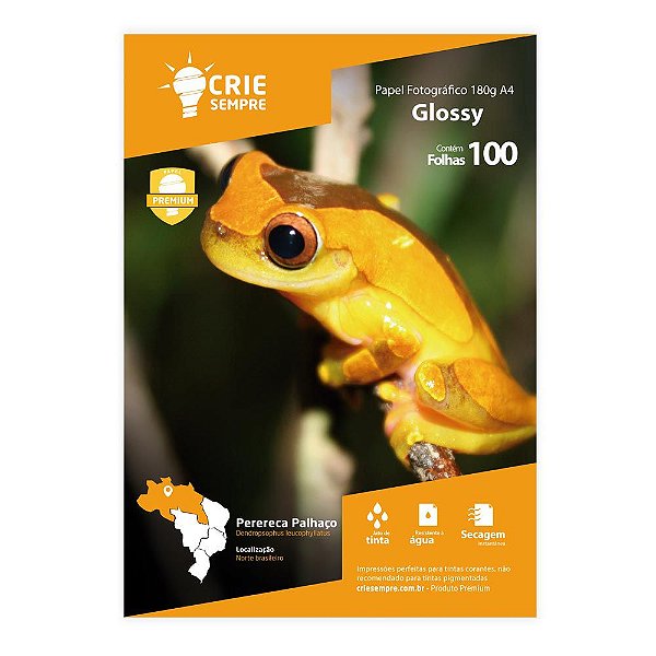 Papel Fotográfico Glossy A4 180g Crie Sempre 100 folhas